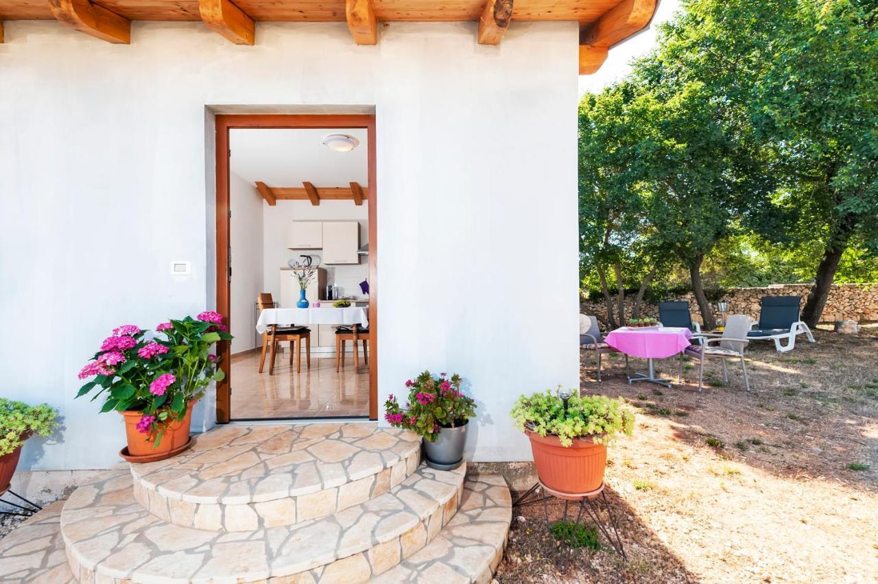 House Lena - 800 M From The Sea Apartamento Rovinj Exterior foto
